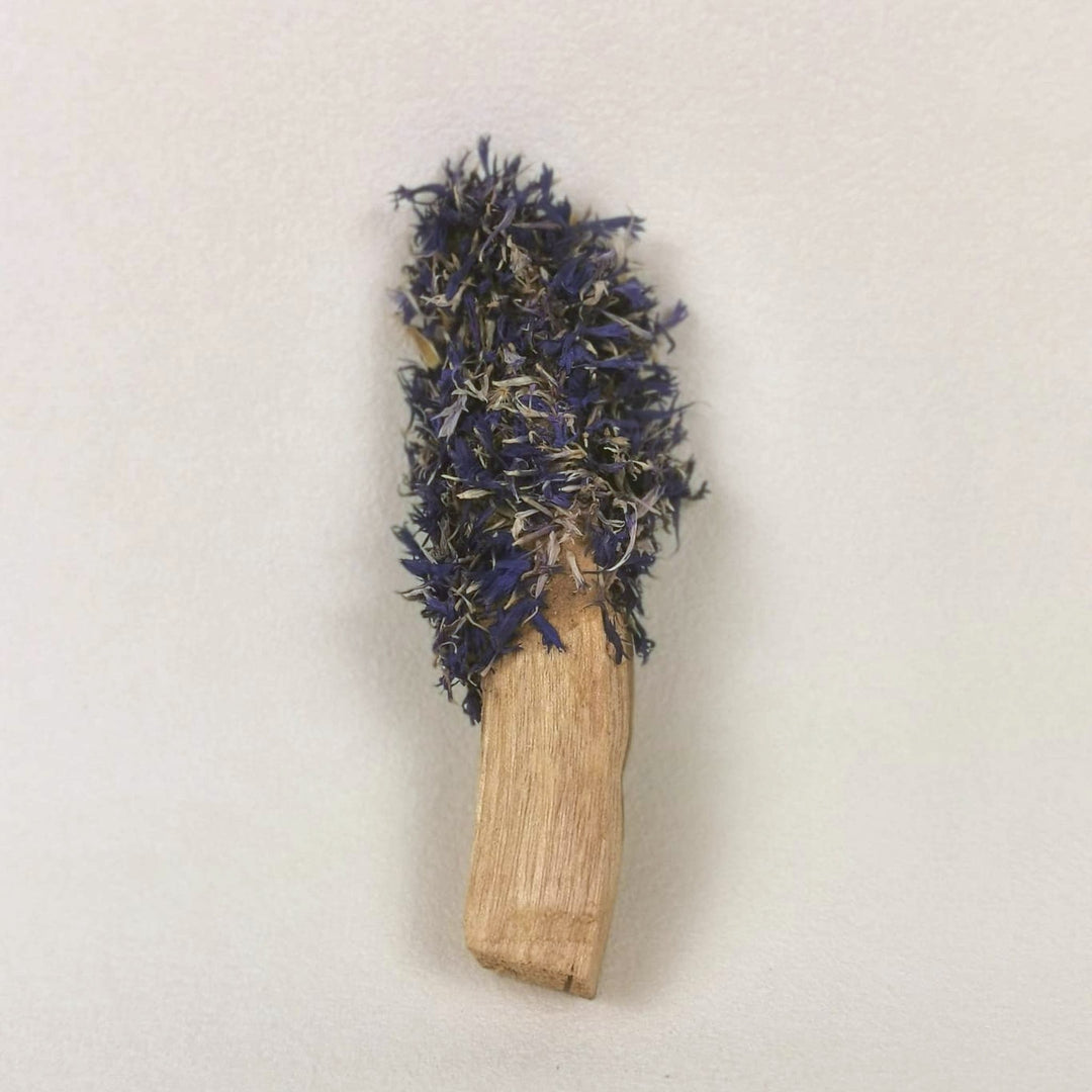 Palo Santo Stick mit blauen Kornblumenblüten von Elvara