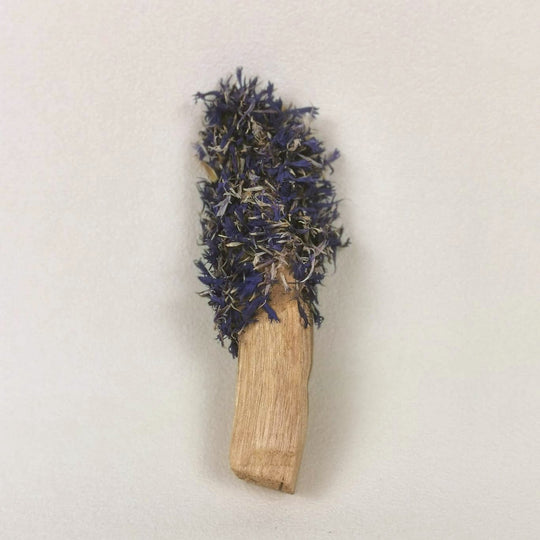 Palo Santo Stick mit blauen Kornblumenblüten von Elvara