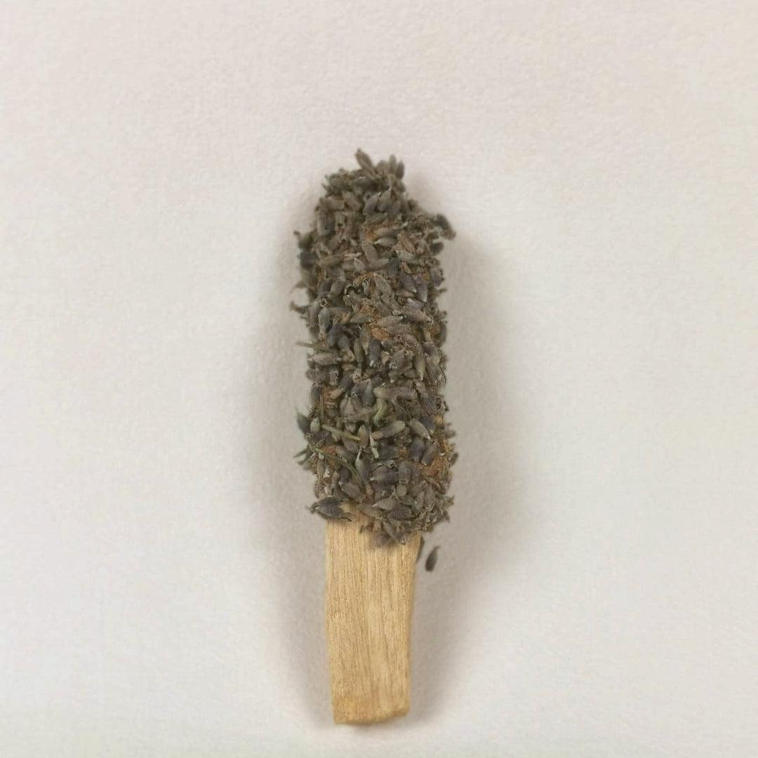 Palo Santo Stick mit getrocknetem Lavendel von Elvara