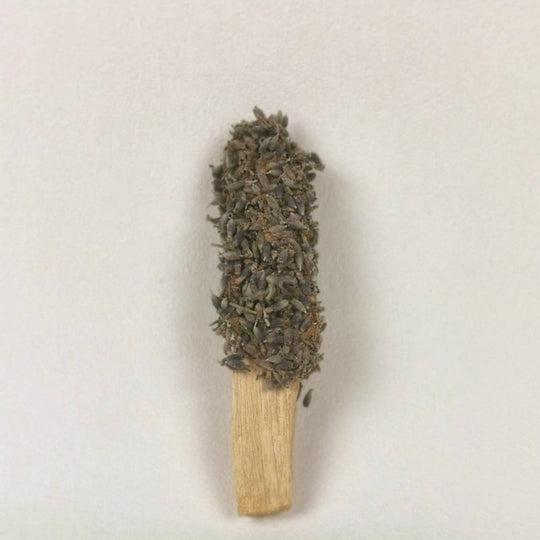 Palo Santo Stick mit getrocknetem Lavendel von Elvara